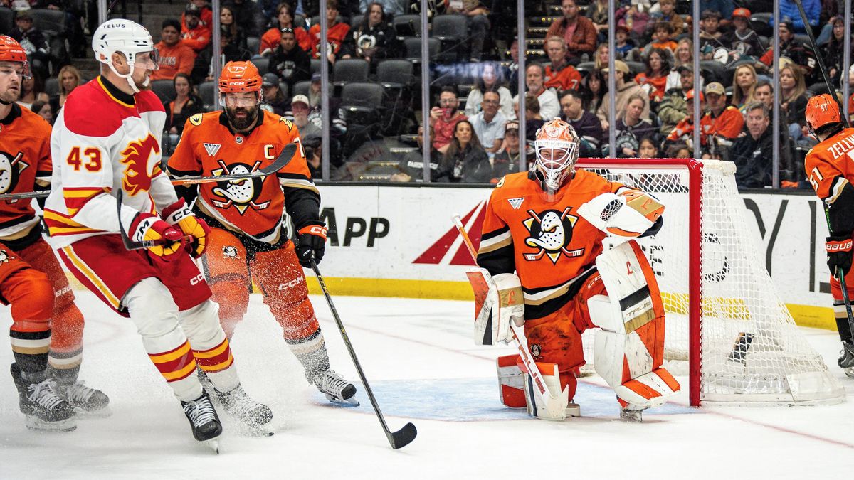 Dostál a Gudas pomohli k výhře Anaheimu